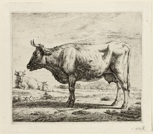 Dvě krávy a ovce od Adriaen van de Velde