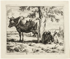Dvě krávy pod stromem od Adriaen van de Velde