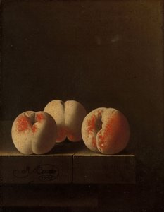 Tři broskve na kamenném podstavci, 1705 od Adrian Coorte