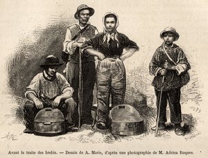 Před obchodem s ovcemi byl na tomto místě zaměstnán veškerý personál farmy, chlapec, sluha, pod dohledem pastýře se sbíralo mléko v seilles (kovová váza etame), rytina podle kresby A.Marie, ilustrující cesta do Roquefo
