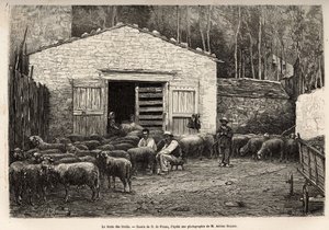 Obchod s ovcemi, tímto úkolem byl zaměstnán veškerý personál farmy, chlapec, sluha, pod dohledem pastýře, rytina podle kresby A.Marie, ilustrující cestu do Roquefortu a okolí, od Adriena Roquese a Julese Charton, od Adrien Emmanuel Marie