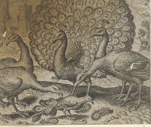 Bajka o strace s pavími pery od Egidius  Sadeler (II)