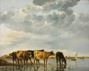 Dobytek ve vodě od Aelbert Cuyp