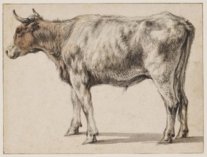  od Aelbert Cuyp