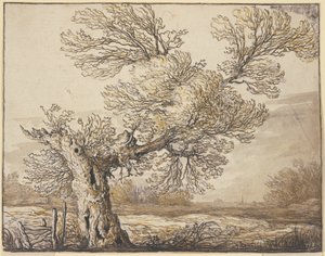  od Aelbert Cuyp