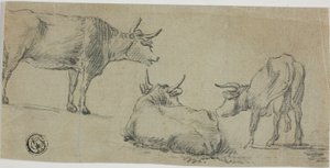 Tři náčrty krav od Aelbert Cuyp