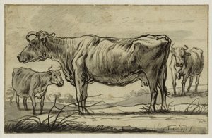  od Aelbert Cuyp