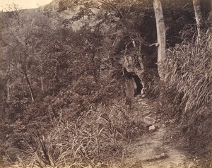 Levá cesta do kláštera Yuen foo, ca. 1869.