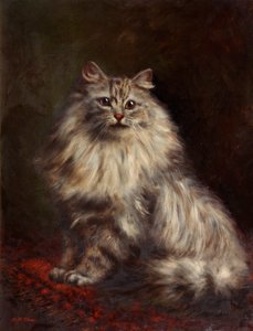 Perská kočka, kolem 1908-20 od Agnes Augusta Talboys