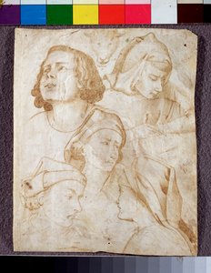 Hlavy (kresba od Agnolo Gaddi