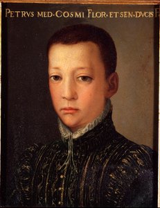Portrét Dona Pietra de Medicis (1554-1604) (Pietro de 