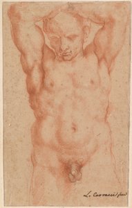 Mužský akt od Agostino Carracci