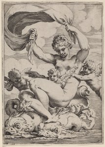 Venuše nebo Galatea podporovaná delfíny od Agostino Carracci