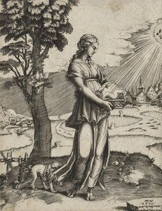 The Cumaean Sybil, 1516 (rytina na položený papír)