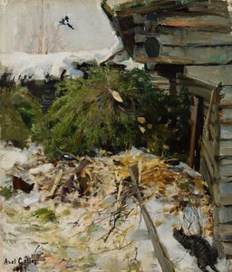 Smrky na dvoře statku od Akseli Gallen-Kallela