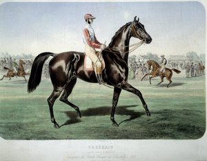 Závody: „Suzerain, vítěz derby v Chantilly v roce 1868““ Litografie Alberta Adama (1833-?) Soukromá sbírka