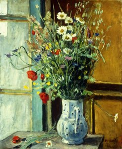 Divoké květiny; Fleurs des Champs