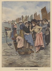 Sklizeň ústřic v Cancale, Bretaň od Albert Besnou