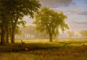 Los v Oak Grove (Tuolumne Meadows) od Albert Bierstadt