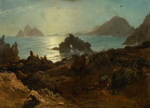 Farallonské ostrovy, Tichý oceán, Kalifornie od Albert Bierstadt