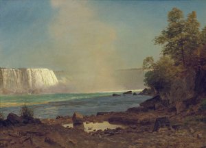 Niagarské vodopády, 1863 od Albert Bierstadt