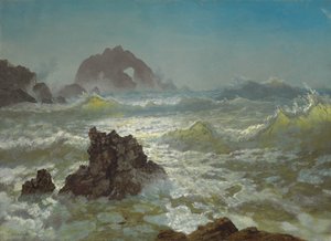 Seal Rock, Kalifornie, kolem roku 1872 od Albert Bierstadt