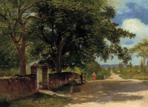 Street in Nassau od Albert Bierstadt