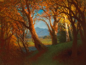 Západ slunce na území Nebrasky od Albert Bierstadt