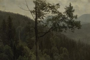 Hory pokryté stromy od Albert Bierstadt