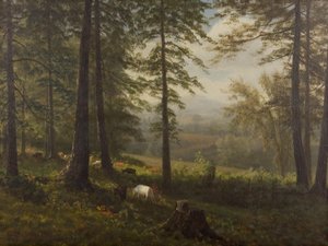 Pohled na mýtinu od Albert Bierstadt