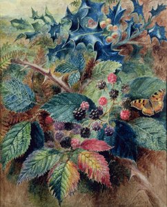 Ostružiny a Holly s motýlem od Albert Durer Lucas