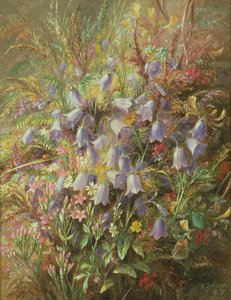 Zvonky a další lesní květiny a trávy od Albert Durer Lucas