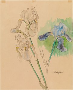 Kosatce od Albert Edelfelt