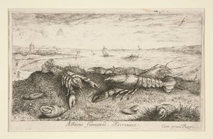 Astacus fluriatilis. L od Albert Flamen
