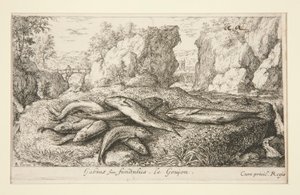 Gabius nebo Fundus. Le Goujon od Albert Flamen