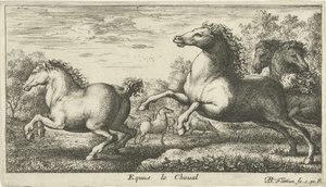 Koně Equus le Cheval (název na objektu) Různé druhy zvířat (název série) od Albert Flamen