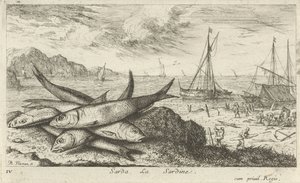 Sardinky na pláži Sarda, La Sardine. (název na objektu) Ryby a další mořští tvorové - slaná voda první série (název série) Diverse Especes de Poissons de mer (název série) od Albert Flamen