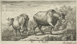 býci Bos le Boeuf (název na objektu) Různé druhy zvířat (název série) od Albert Flamen