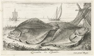 Dva šmouhy na pláži limanda. La Limande. (název na objektu) Ryby a další mořští tvorové - slaná voda třetí série (název série) Poissons de mer (název série) od Albert Flamen