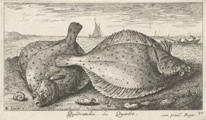 Dva platýs na pláži Quadratulus. LeQuarlet. (název na objektu) Ryby a další mořští tvorové - slaná voda třetí série (název série) Poissons de mer (název série) od Albert Flamen