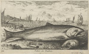 Dva lososi na pláži Salmo. Le Saulmon (název na objektu) Ryby a další mořští tvorové - slaná voda první série (název série) Diverse Especes de Poissons de mer (název série) od Albert Flamen
