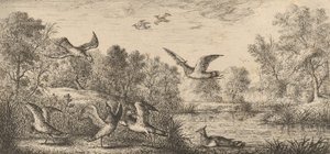 Vanellus, Vanneau Čejka: Livre d