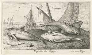 Čtyři parmice na pláži Rubellio Le Rouget. (název na objektu) Ryby a další mořští tvorové - slaná voda druhá série (název série) Poissons de mer (název série) od Albert Flamen