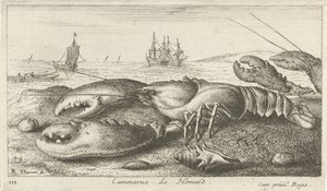 Humr na pláži Cammarus. LeHomard (název na objektu) Ryby a další mořští tvorové - slaná voda první série (název série) Diverse Especes de Poissons de mer (název série) od Albert Flamen