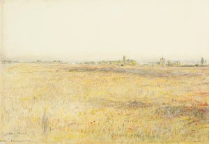 Kukuřičná pole, Hooe. Bexhill on Sea (akvarel s tuší) od Albert Goodwin
