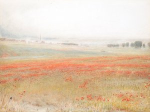 Koukol. Maky v kukuřici. Salisbury od Albert Goodwin