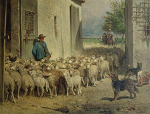 Návrat do ovčince, 1860