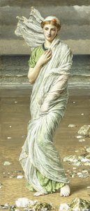 Mořské mušle, 1875