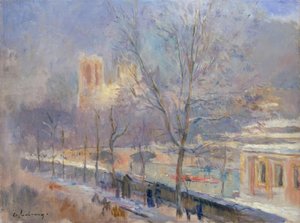 Notre-Dame de Paris při pohledu z Quai de la Tournelle, účinek n