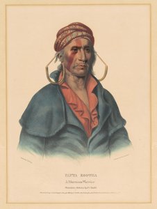 Payta Kootha, bojovnice Shawnee od Albert Newsam, after Henry Inman, after Charles Bird King